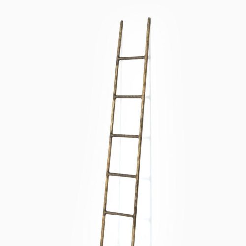 bennet antique ladder 2